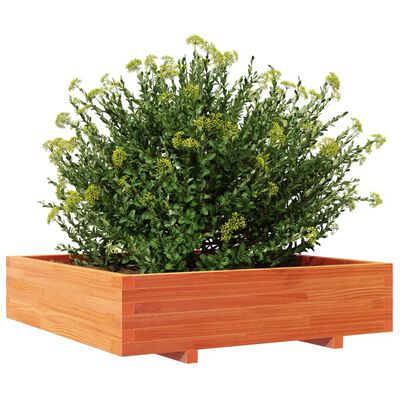 vidaXL Vaso/floreira jardim 100x100x26,5 cm pinho maciço castanho mel