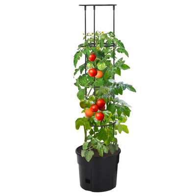 vidaXL Vaso p/ cultivo de tomate Ø29,5x115 cm polipropileno antracite