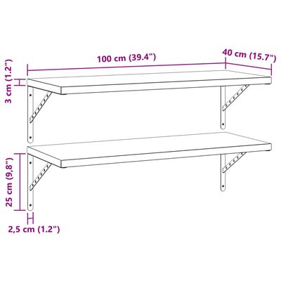 vidaXL Prateleiras de parede 2 pcs 100x40 cm aço inoxidável prateado