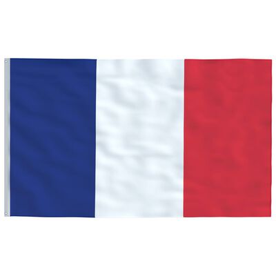 vidaXL Bandeira da França e mastro 5,55 m alumínio