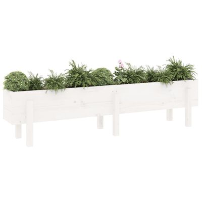 vidaXL Canteiro elevado de jardim 160x30x38 cm pinho maciço branco