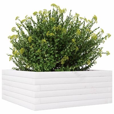 vidaXL Vaso/floreira de jardim 60x60x23 cm madeira pinho maciça branco