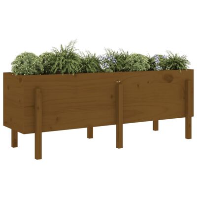 vidaXL Canteiro elevado jardim 160x50x57 cm pinho maciço castanho-mel