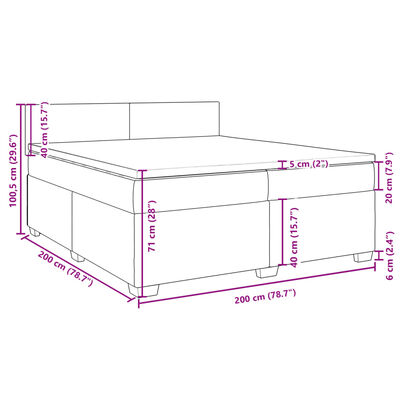 vidaXL Cama com molas/colchão 200x200 cm veludo cinzento-claro