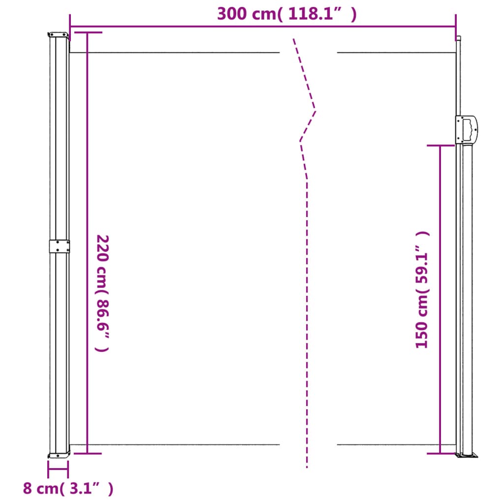 vidaXL Toldo lateral retrátil 220x300 cm antracite