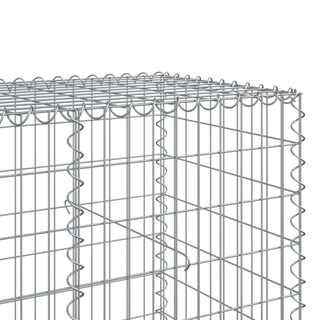 VidaXL Cesto gabião com cobertura 300x100x100 cm ferro galvanizado