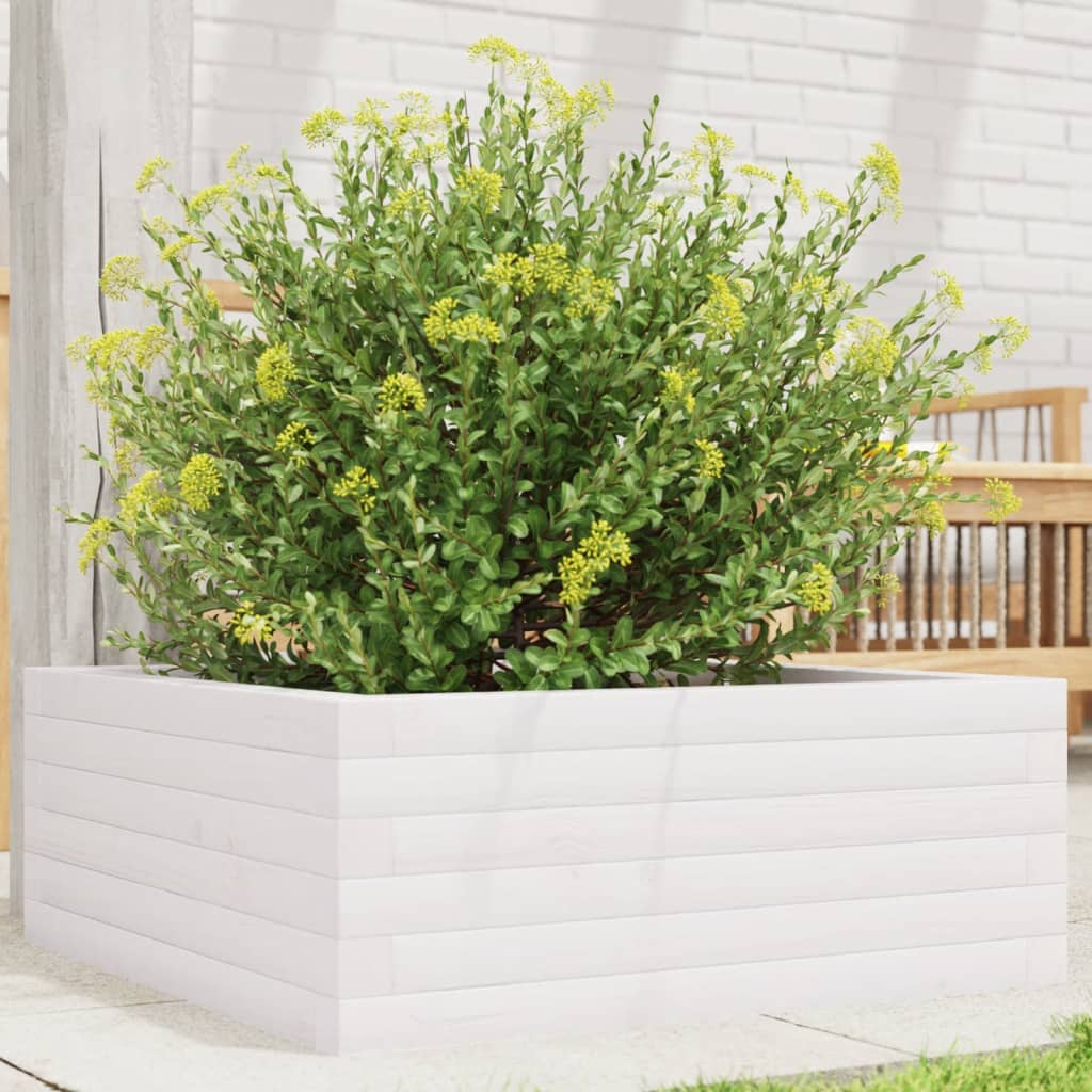 vidaXL Vaso/floreira de jardim 60x60x23 cm madeira pinho maciça branco