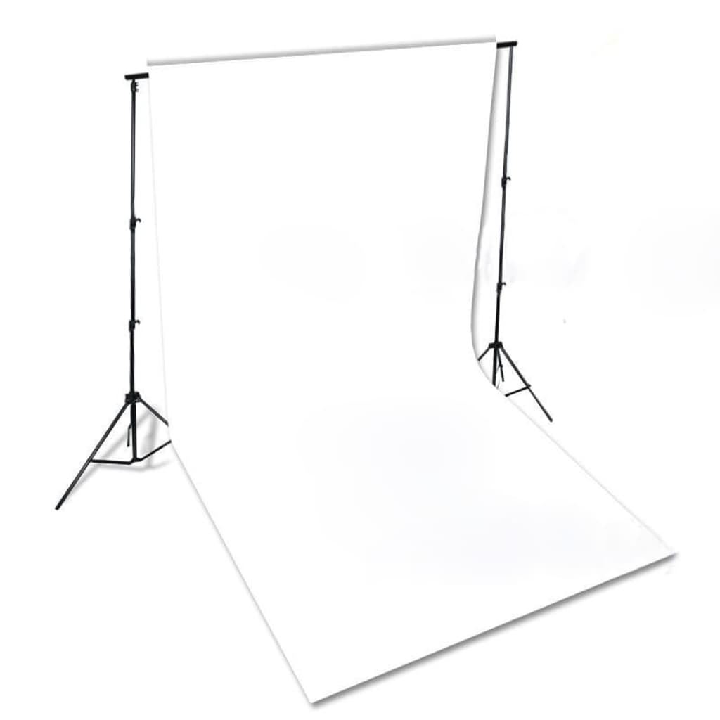 vidaXL Kit de estúdio fotográfico com conjunto de iluminação e fundo