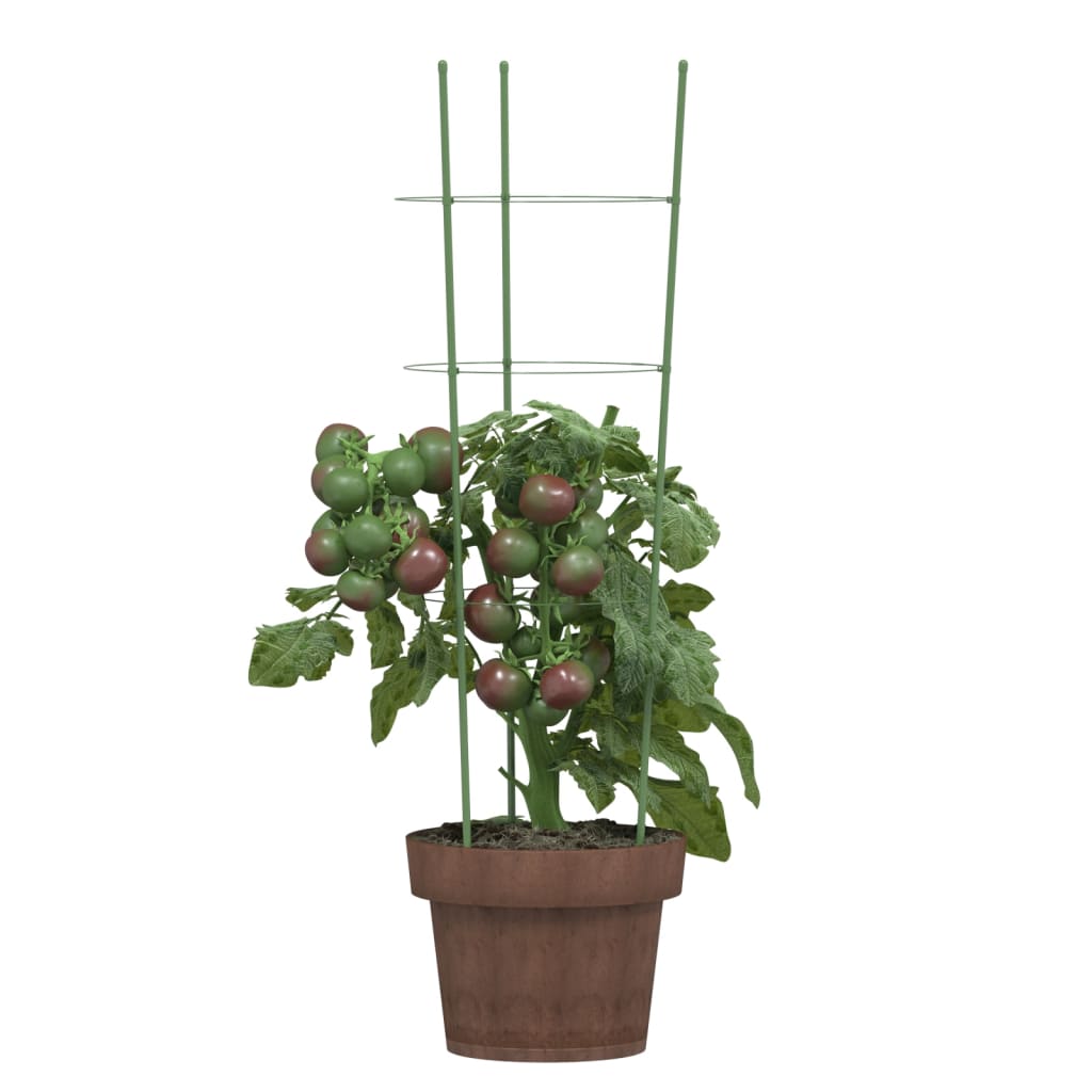 vidaXL Suportes p/ plantas de jardim c/ 3 anéis 5 pcs 60 cm aço verde