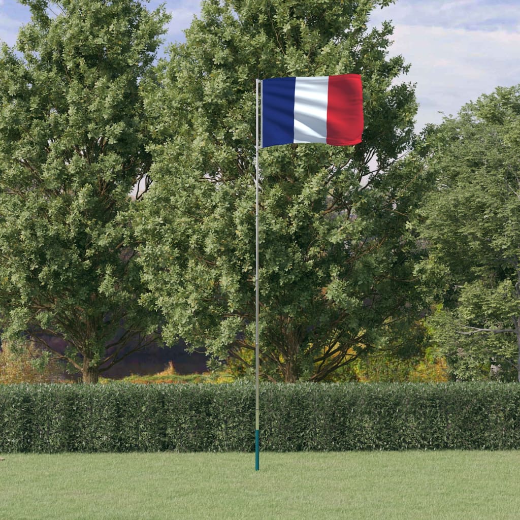 vidaXL Bandeira da França e mastro 5,55 m alumínio