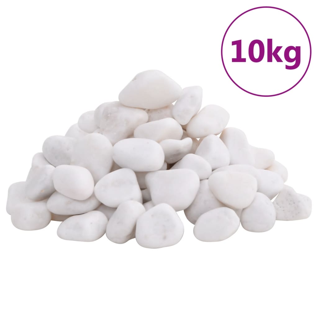 vidaXL Seixos polidos 10 kg 2-5 cm branco