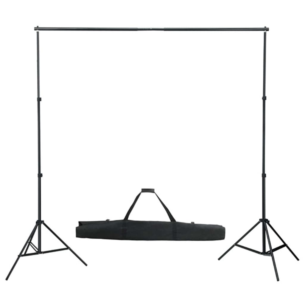 vidaXL Kit de estúdio fotográfico com conjunto de iluminação e fundo