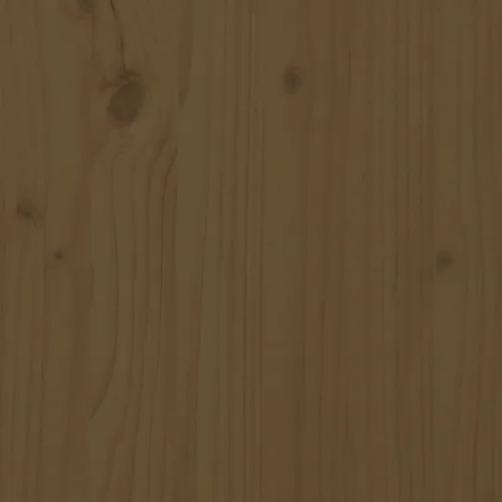 vidaXL Estante/divisória 80x25x101 cm madeira maciça castanho mel